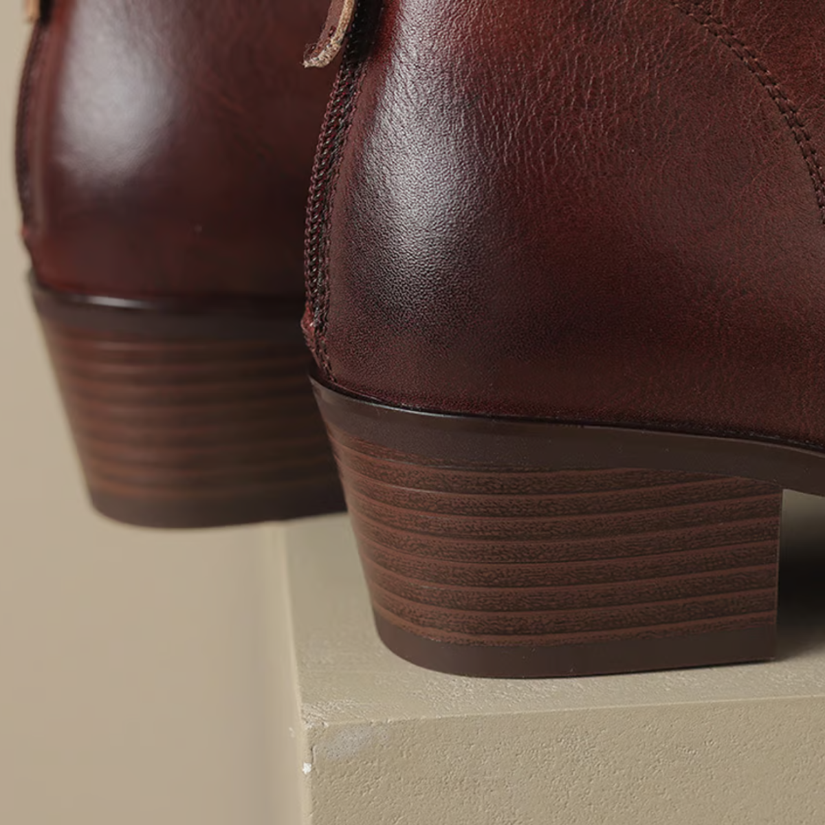 Felly Low Heel Ankle Boots with Zip Entry and Block Heel - Brown